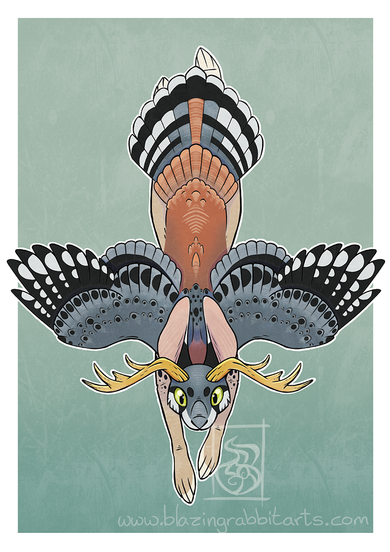 Illustration of a Wolpertinger in flight from the top symmetrical.